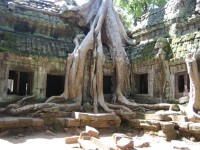 Angkor Thom, Cambodia, Siam, Reap